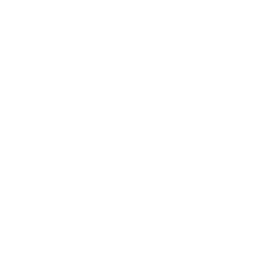 Fundacion Televisa