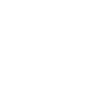 Chubb 2