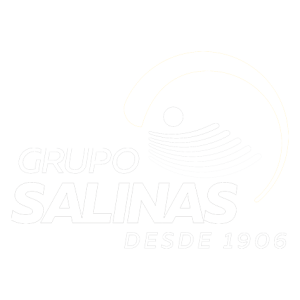 GRUPO SALINAS
